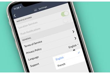 Routeique Inventory Mangagement (IMS) Language Settings Displayed On Phone
