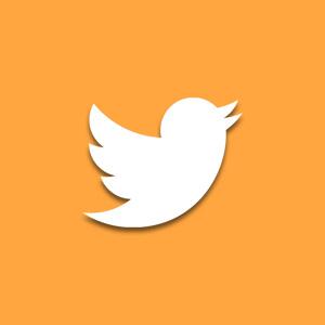 Twitter icon